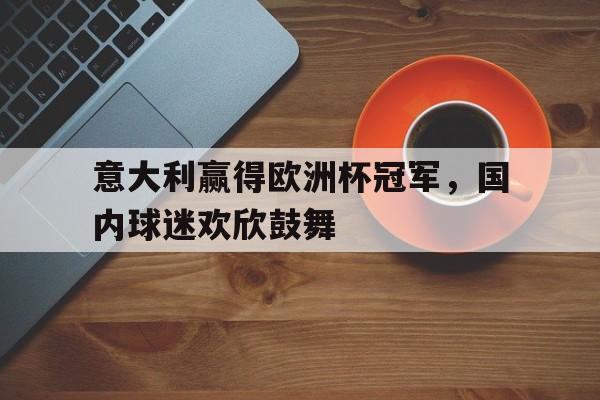 意大利赢得欧洲杯冠军,国内球迷欢欣鼓舞视频